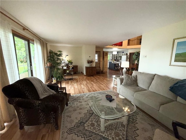 1476 Grange Hall Rd, Junius, NY 14532 - living room featuring light wood finished floors