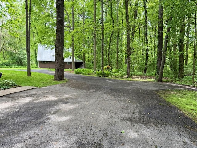 1476 Grange Hall Rd, Junius, NY 14532 - view of community featuring a view of trees and asphalt driveway