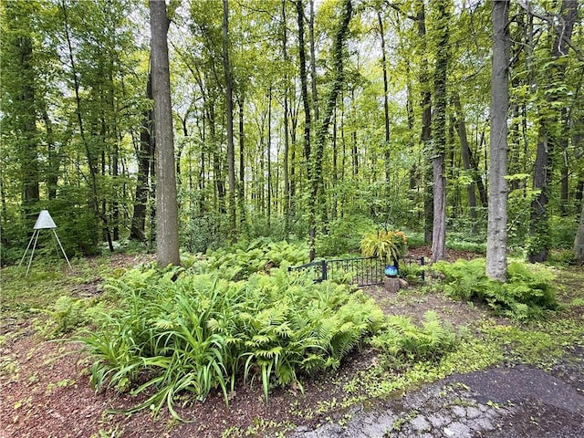 1476 Grange Hall Rd, Junius, NY 14532 - view of yard with a wooded view