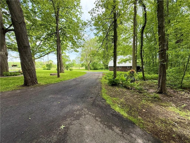 1476 Grange Hall Rd, Junius, NY 14532 - view of asphalt driveway