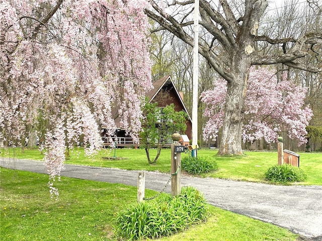 1476 Grange Hall Rd, Junius, NY 14532 - view of home's community with a yard