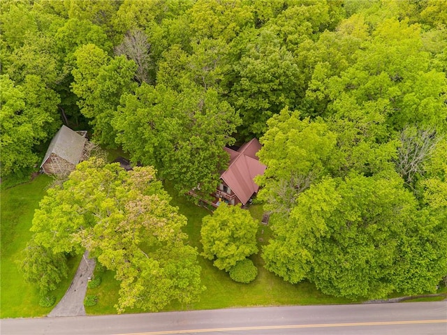 1476 Grange Hall Rd, Junius, NY 14532 - drone / aerial view of a forest