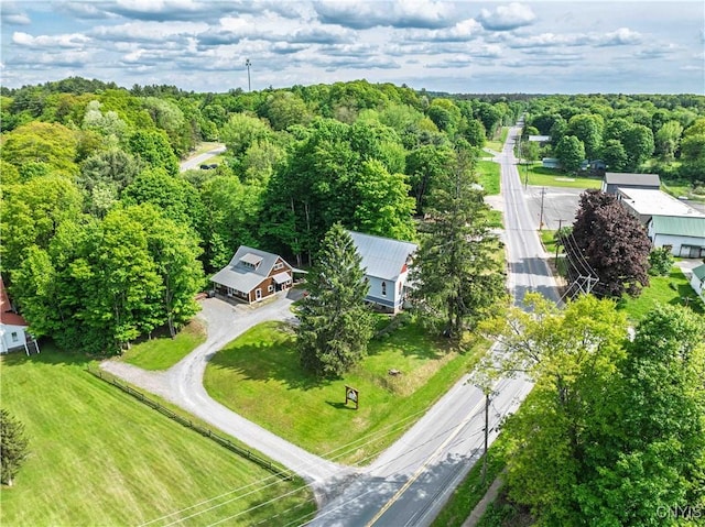 28 Bridge St, Albion, NY 13302 - aerial view of a heavily wooded area
