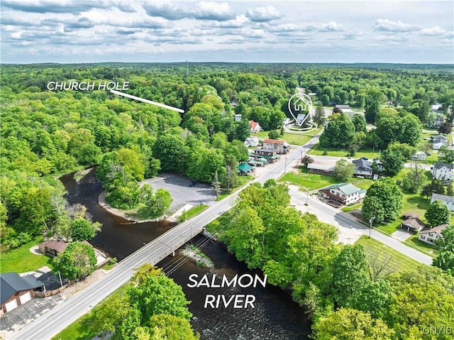 28 Bridge St, Albion, NY 13302 - drone / aerial view of a heavily wooded area