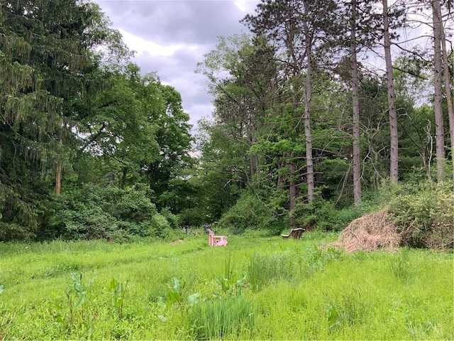 33 Hardy Hill Rd, Andover, NY 14806 - view of wooded area