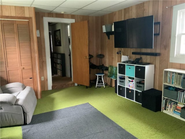 33 Hardy Hill Rd, Andover, NY 14806 - recreation room with wooden walls, carpet, and golf simulator