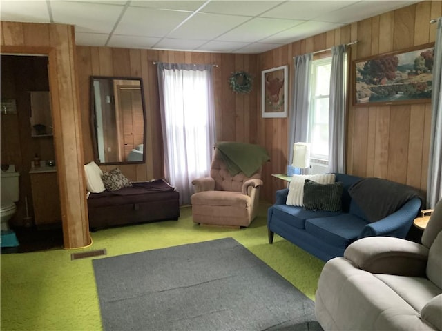 33 Hardy Hill Rd, Andover, NY 14806 - carpeted living area featuring wooden walls, plenty of natural light, and a paneled ceiling