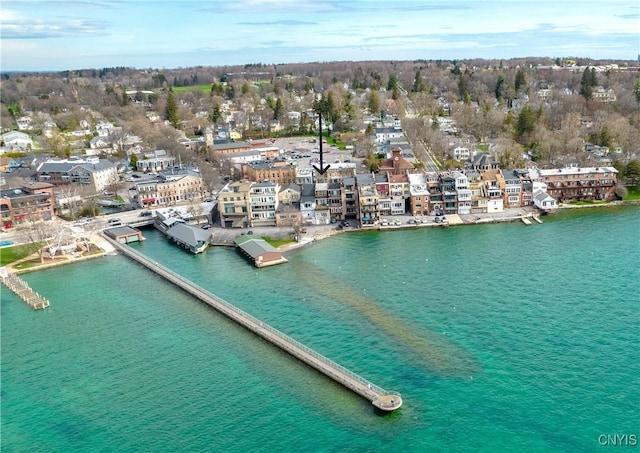 18 E Genesee St Unit 1, Skaneateles, NY 13152 - drone / aerial view of a nearby body of water and a tree filled landscape