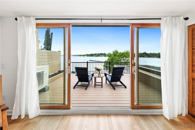 18 E Genesee St Unit 1, Skaneateles, NY 13152 - entryway featuring a water view, wood finished floors, and healthy amount of natural light