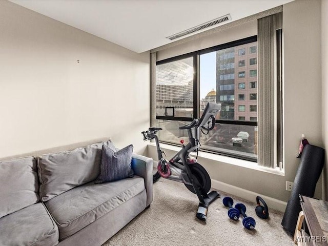 610 Main St Unit 501, Buffalo, NY 14202 - exercise room with carpet and baseboards