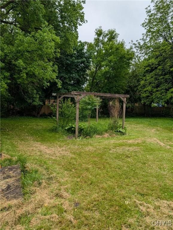161 W Florence Ave, Syracuse, NY 13205 - view of green lawn