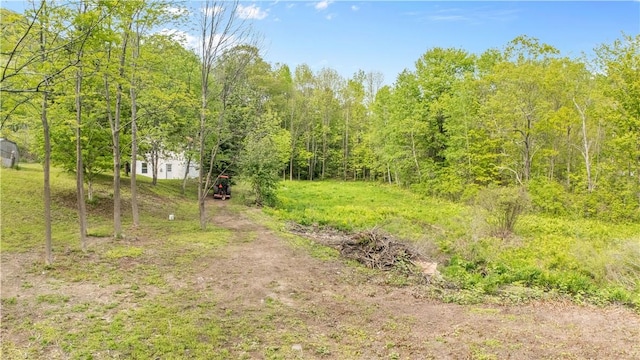 10610 State Route 7, Worcester, NY 12149 - view of wooded area