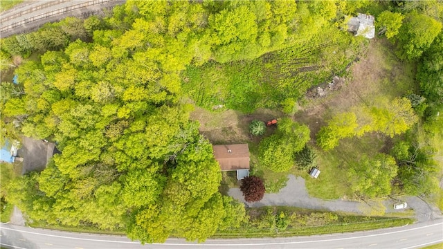 10610 State Route 7, Worcester, NY 12149 - bird's eye view
