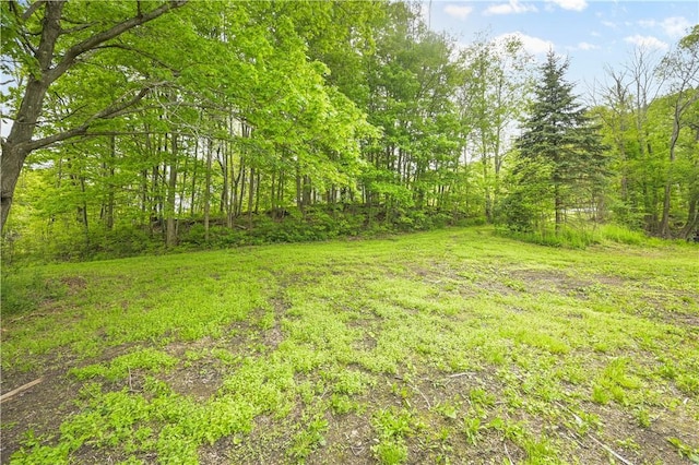10610 State Route 7, Worcester, NY 12149 - view of yard featuring a forest view