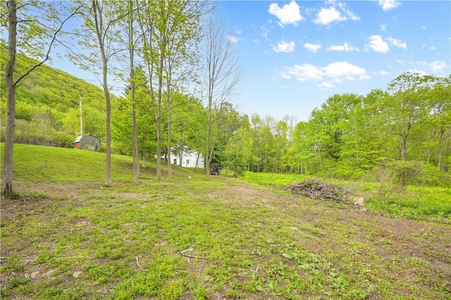 10610 State Route 7, Worcester, NY 12149 - view of grassy yard featuring a view of trees
