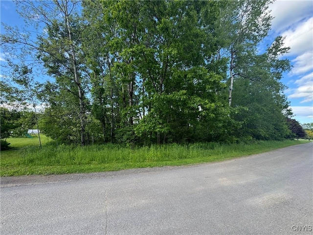 Wakefield Ln, Western, NY 13303 - photo 1