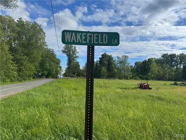 Wakefield Ln, Western, NY 13303 - photo 2
