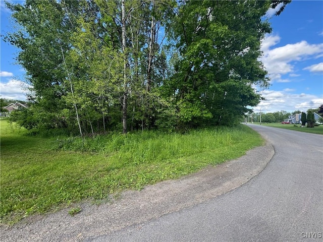 Wakefield Ln, Western, NY 13303 - photo 5