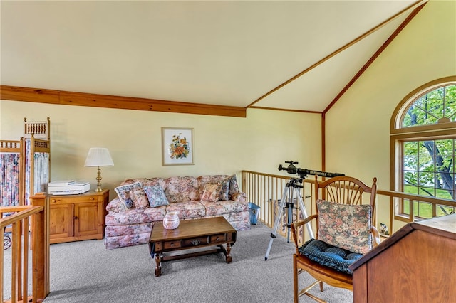 2555 County Highway 22, Richfield, NY 13439 - carpeted living room with high vaulted ceiling