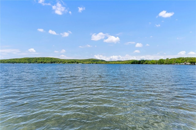 2555 County Highway 22, Richfield, NY 13439 - water view