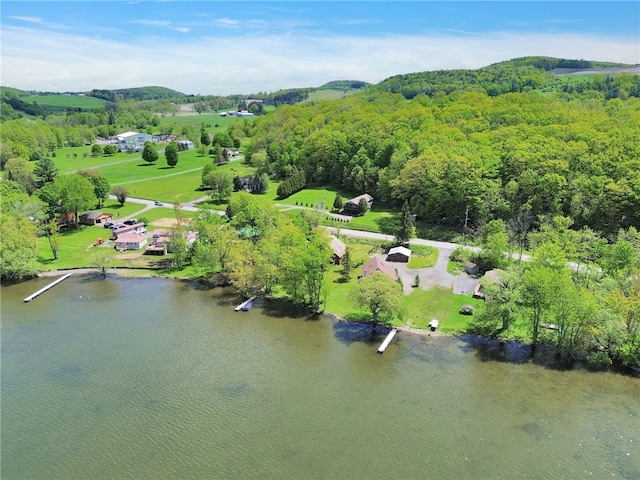 2555 County Highway 22, Richfield, NY 13439 - bird's eye view of a nearby body of water and a forest