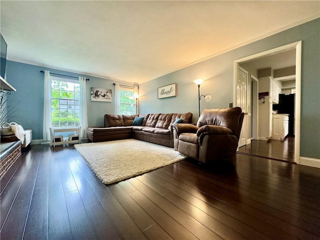 7 Overbrook Dr, Owego, NY 13732 - living room featuring dark wood-style flooring and baseboards