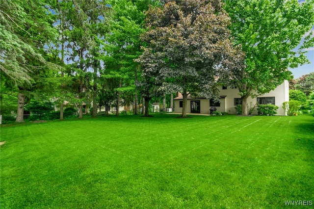 4640 Pine Mnr Unit W, Clarence, NY 14031 - view of green lawn
