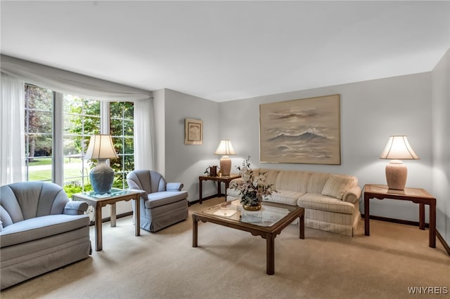 4640 Pine Mnr Unit W, Clarence, NY 14031 - living area with carpet and baseboards