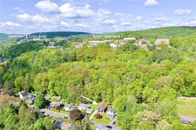 25 Woodside Ave, Oneonta-City, NY 13820 - view of property location featuring a heavily wooded area