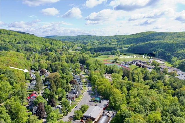 25 Woodside Ave, Oneonta-City, NY 13820 - drone / aerial view of a heavily wooded area