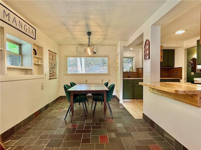 25 Woodside Ave, Oneonta-City, NY 13820 - dining space with plenty of natural light, a textured ceiling, and baseboards