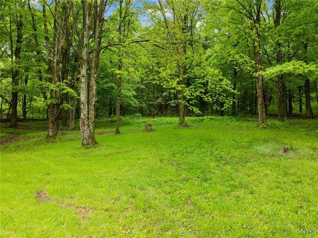 11245 Bell Hill Rd, Deerfield, NY 13502 - view of grassy yard with a view of trees