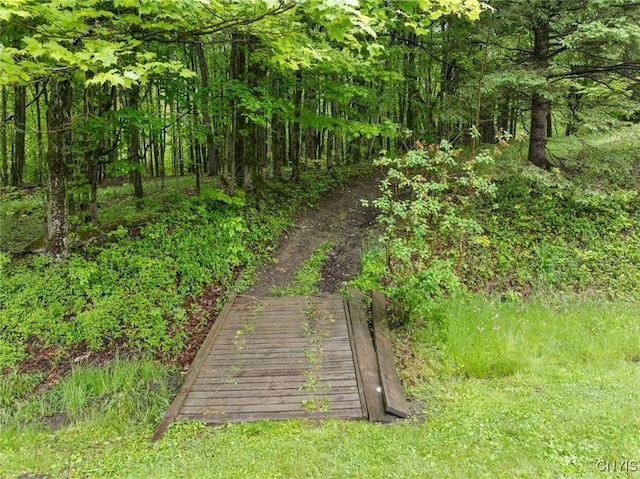 11245 Bell Hill Rd, Deerfield, NY 13502 - view of undeveloped land