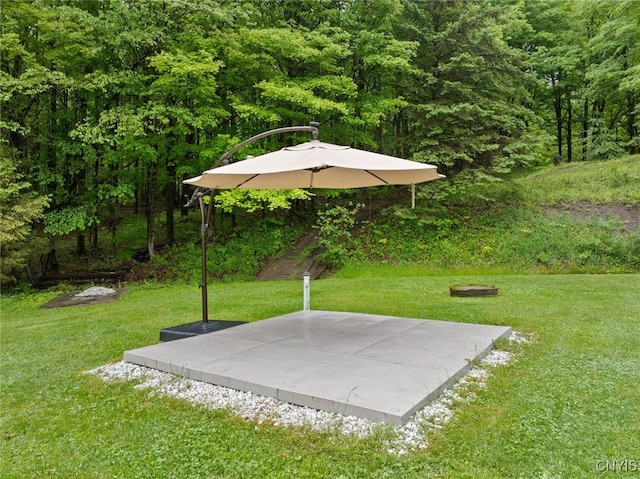 11245 Bell Hill Rd, Deerfield, NY 13502 - view of green lawn featuring a forest view
