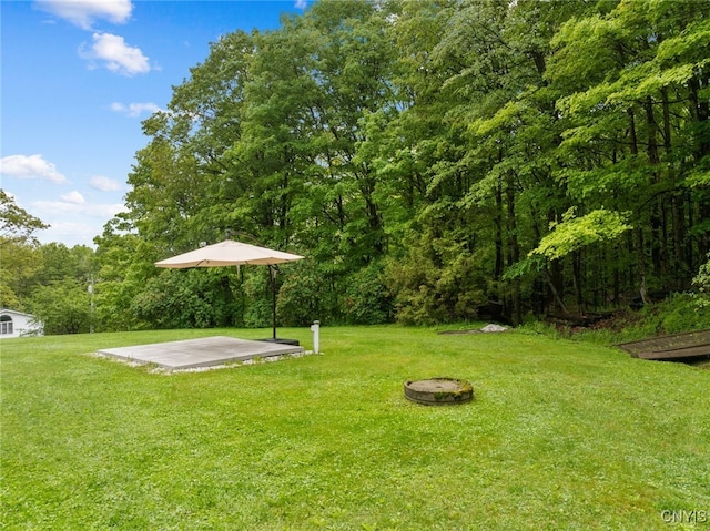 11245 Bell Hill Rd, Deerfield, NY 13502 - view of green lawn with a forest view
