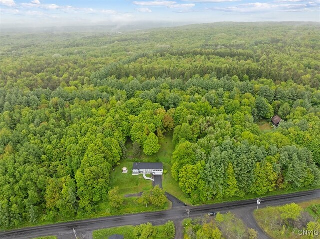 11245 Bell Hill Rd, Deerfield, NY 13502 - aerial view of property's location with a heavily wooded area