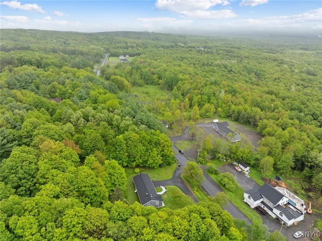 11245 Bell Hill Rd, Deerfield, NY 13502 - bird's eye view of a heavily wooded area