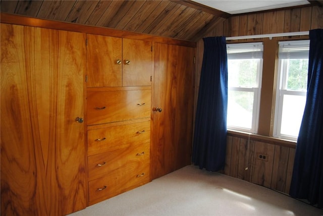 202 Birch St, Kane Boro, PA 16735 - unfurnished bedroom featuring wooden walls, vaulted ceiling, and light colored carpet