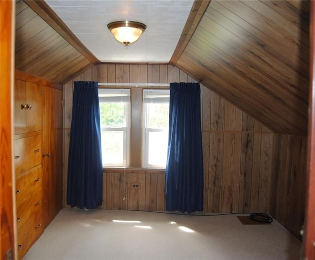 202 Birch St, Kane Boro, PA 16735 - bonus room featuring wood walls, vaulted ceiling, and carpet