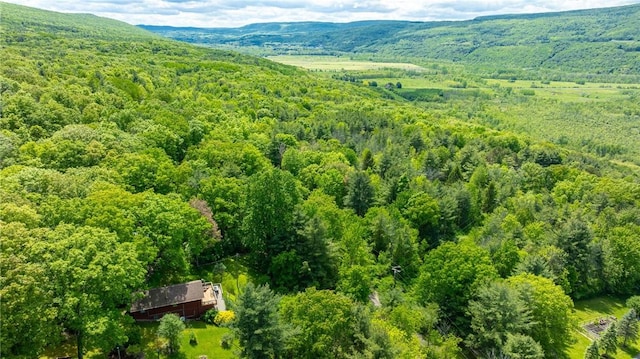 4255 Parish Hill Rd, Italy, NY 14512 - aerial view of a forest and a mountain backdrop