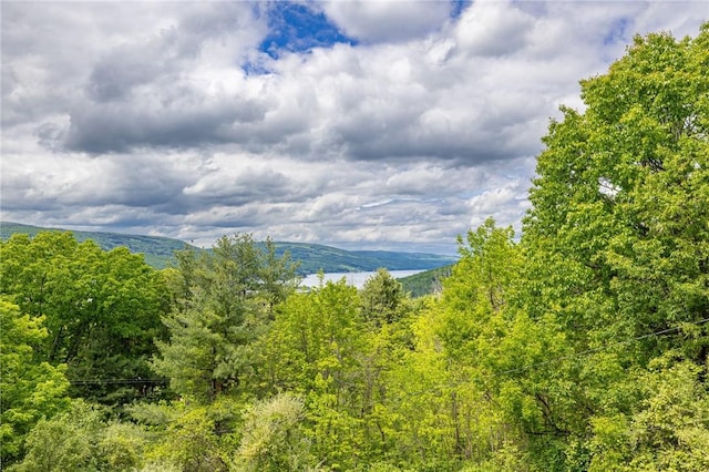 4255 Parish Hill Rd, Italy, NY 14512 - view of mountain backdrop with a forest