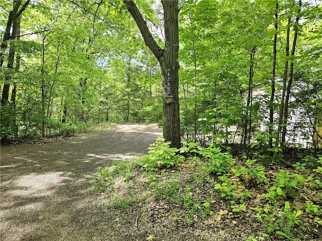 4255 Parish Hill Rd, Italy, NY 14512 - view of road featuring a forest view