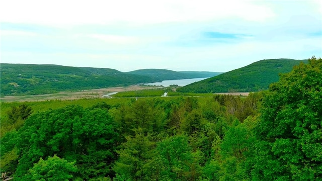 4255 Parish Hill Rd, Italy, NY 14512 - view of mountain background featuring a large body of water