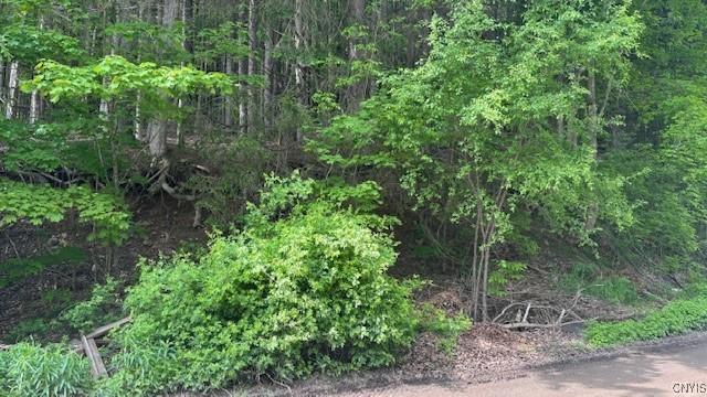 5339 Paddleford Rd, Eaton, NY 13334 - photo 14