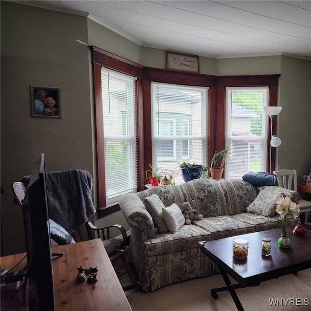 158 Keil St, North Tonawanda, NY 14120 - living area featuring crown molding and carpet floors