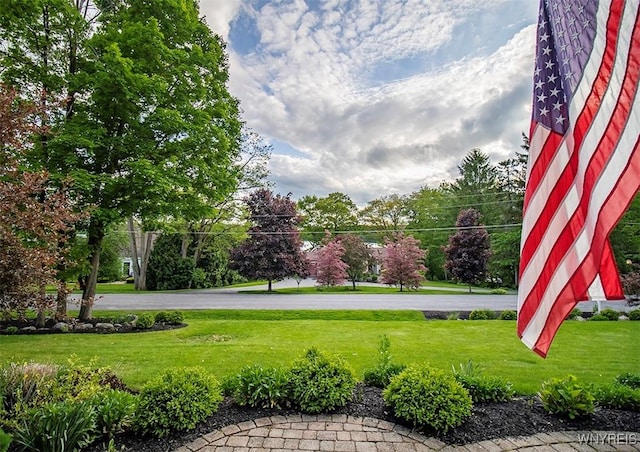 4786 Ormonde Dr, Cazenovia, NY 13035 - surrounding community featuring a lawn