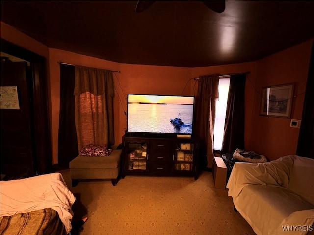 360 Watson St, Buffalo, NY 14212 - home theater room featuring carpet floors