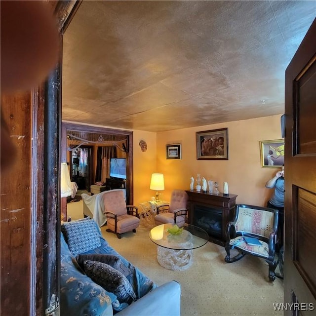 360 Watson St, Buffalo, NY 14212 - living room with a fireplace