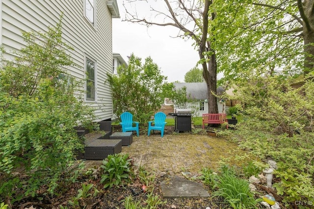 173 Mosley Dr Unit 1, Syracuse, NY 13206 - view of yard