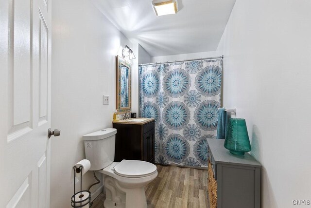 173 Mosley Dr Unit 1, Syracuse, NY 13206 - bathroom featuring toilet, vanity, wood finished floors, and a shower with curtain